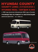  Hyundai County / Hyundai Real / Богдан А- 069