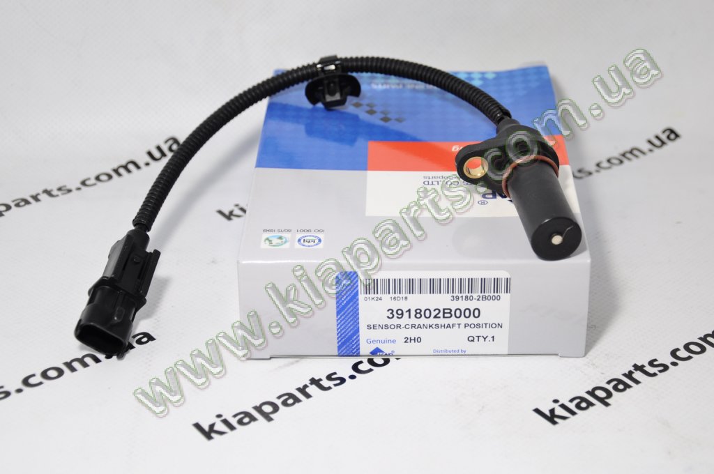 Купить Датчик положення колінчатого вала - 391802B000 - Elantra 06~ 1 ...