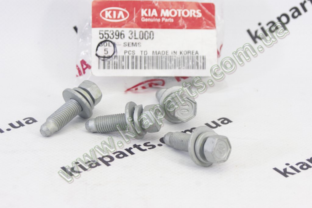 Hyundai kia 553963l000