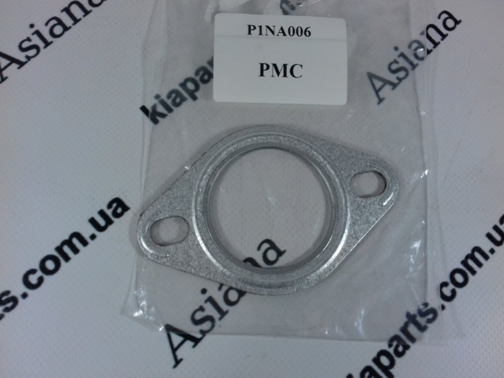 P1NA006 PMC
